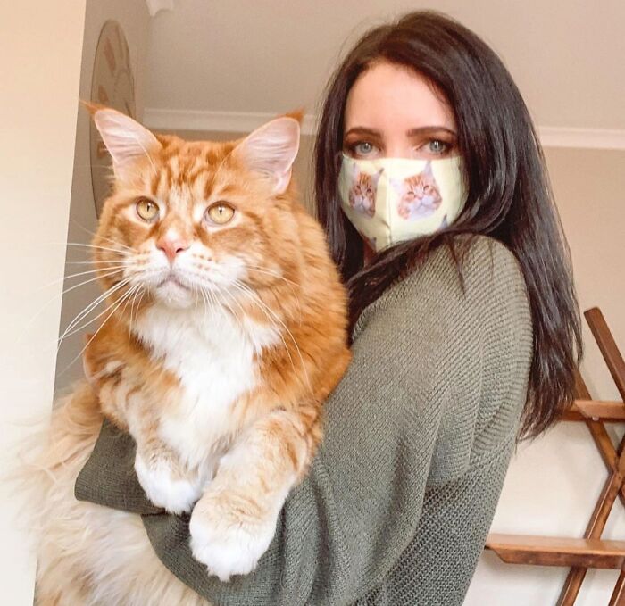 Woman holding a stunning Maine C**n cat, both looking at the camera.