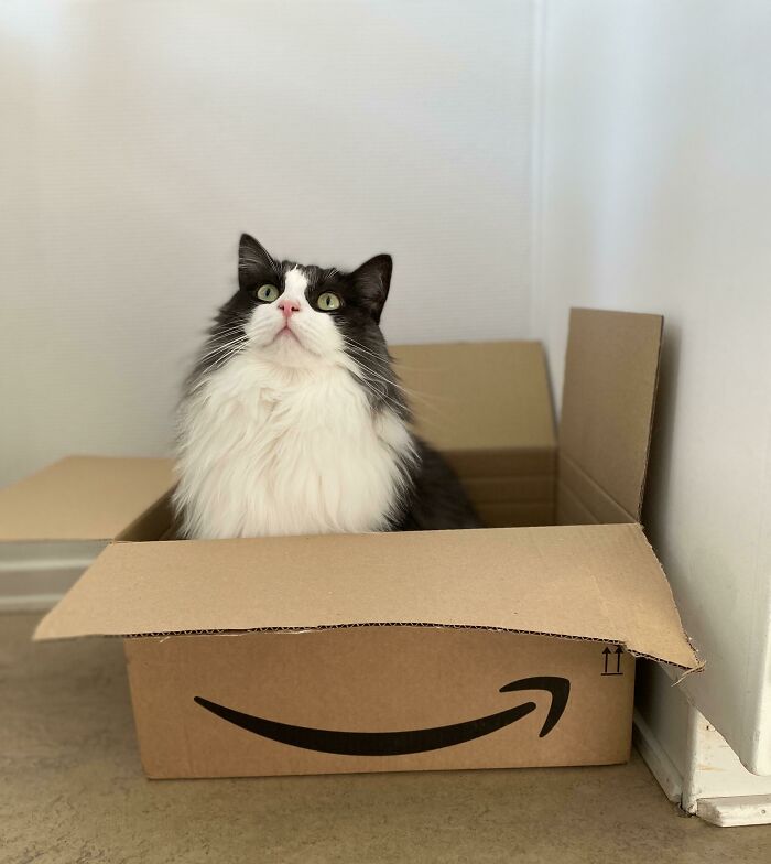 Did Anybody Order A Handsome Dude?