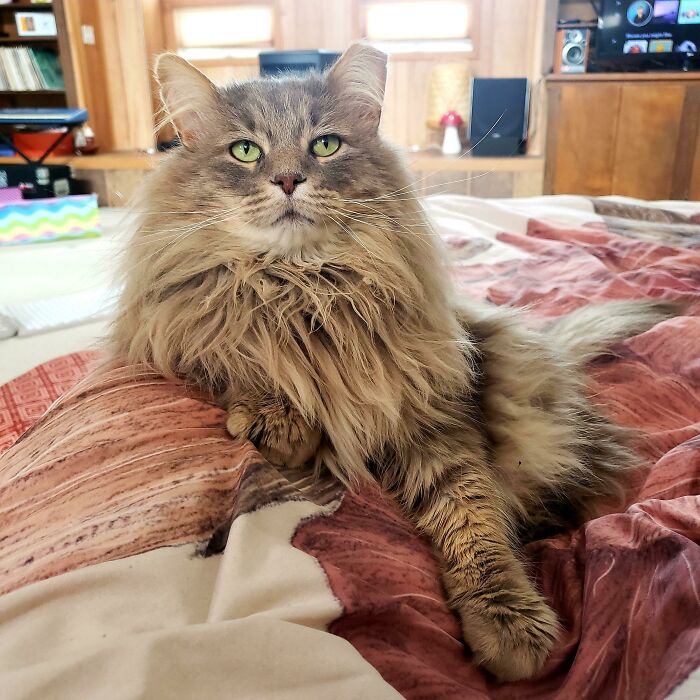 My Grandpaw Says Hello!