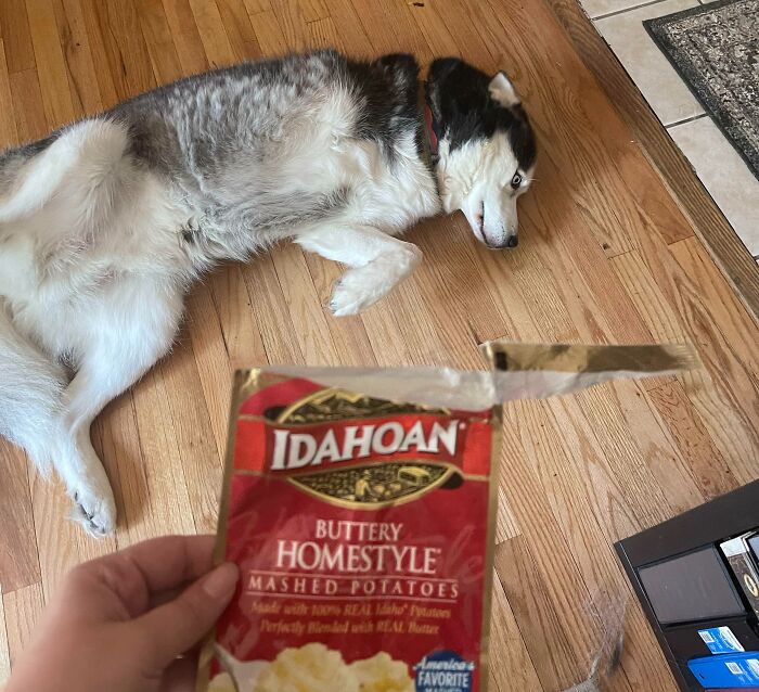 I Know I Threw This Away. I Didn’t Know Which Dog Got Into The Trash Until I Picked It Up And This Was Egg’s Immediate Response