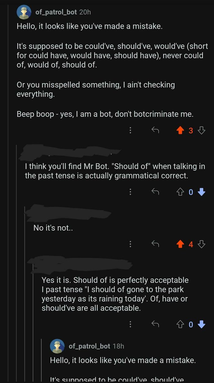 The Golden Rule: Never Disagree With The Grammar Bot