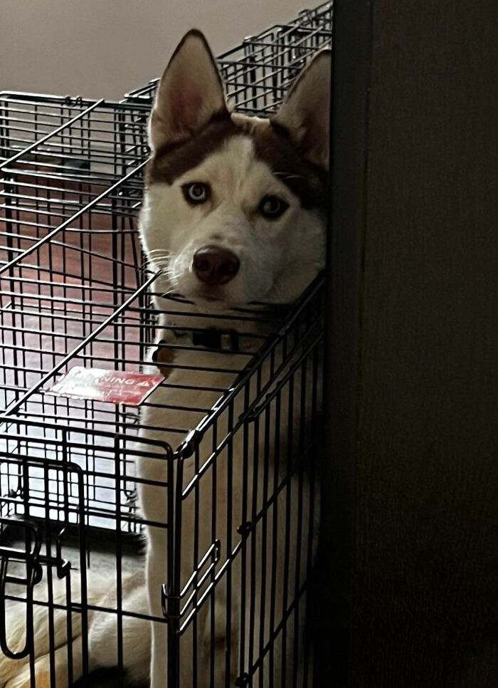 Honestly I Feel Like He’s Just Messing With Me At This Point