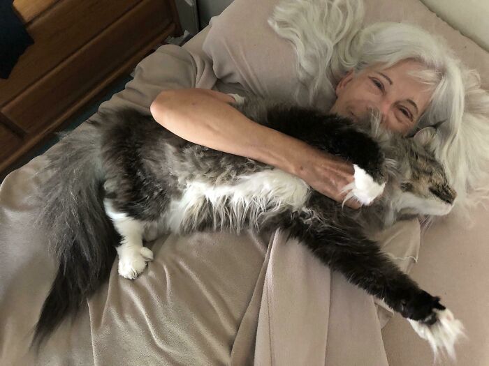 My Maine Coon Snuggle Bunny