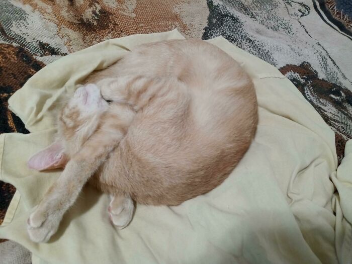 How Are You Comfortable?