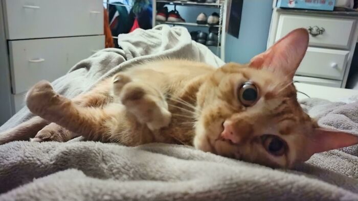 Reach Out And Touch Someone