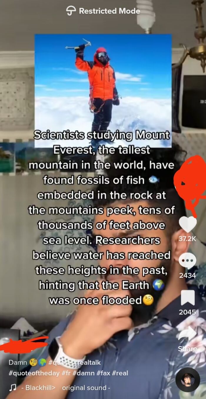 Saw This While Scrolling Through My Tiktok Home Feed