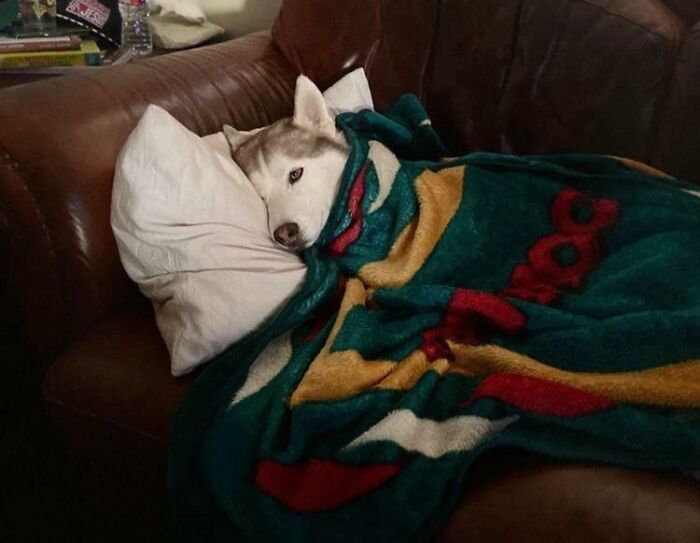 Can We Make This A Trend Please