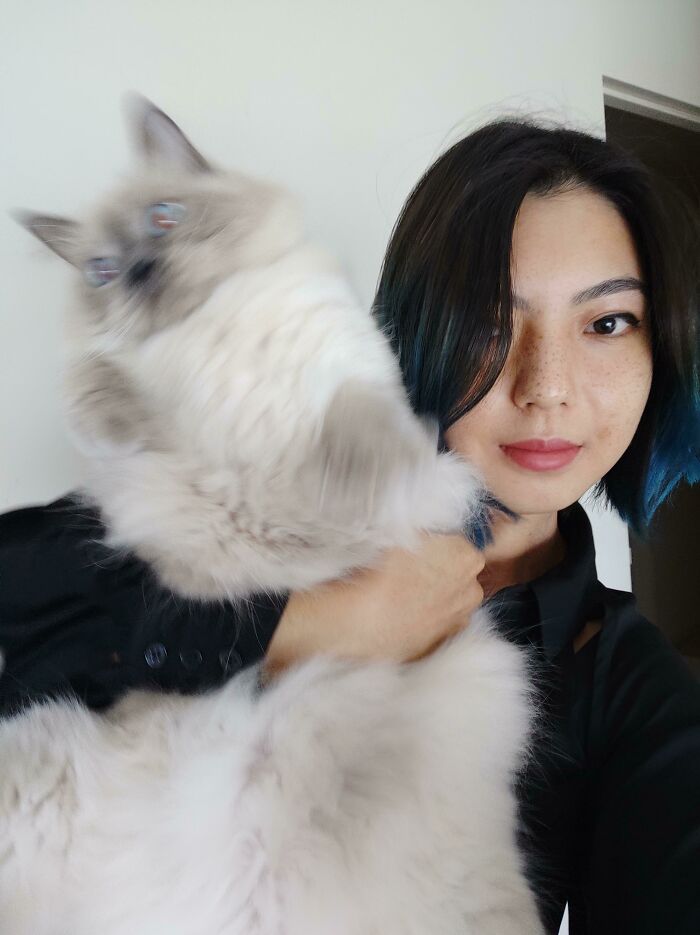 My Ragdoll Ghost, Who Absolutely Hates Being Picked Up