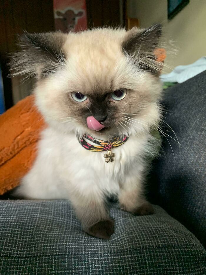 Good Morning From My Baby Marlen