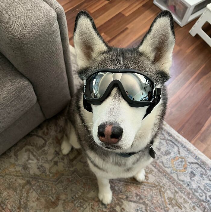 Going To The Sand Dunes This Weekend. Had To Get Some Eye Protection