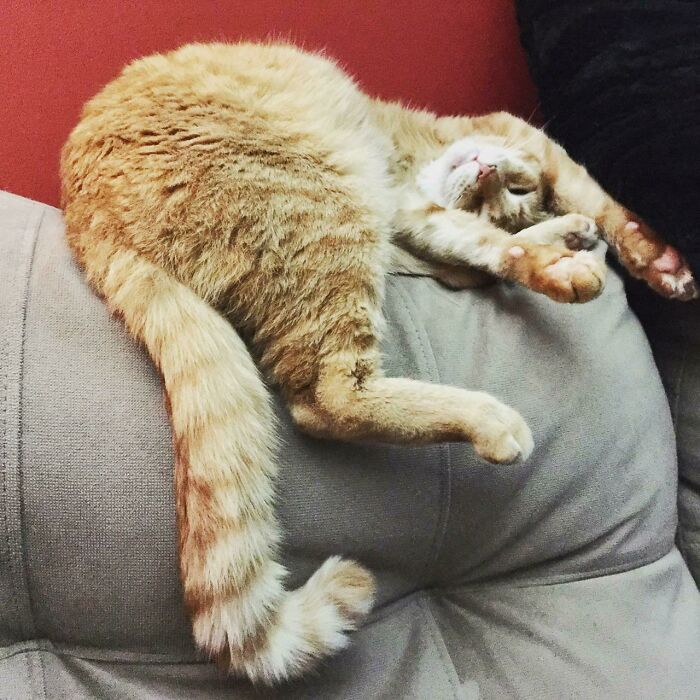 Baby Finn (Almost 3 But Always My Baby)