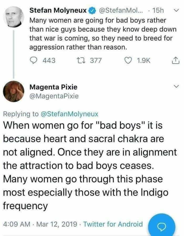 Rare Sight! Two Confidentlyincorrect Creatures Arguing