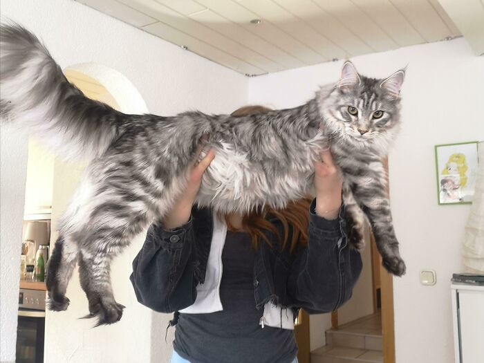 This Is 7 Month Old Angel