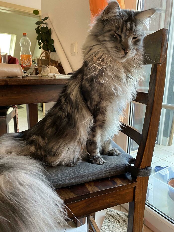 Stretching After Nap… Only To Sleep Again