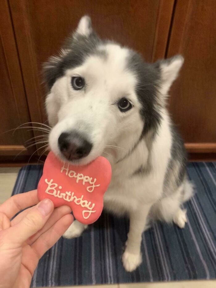 Look Who Started Their Terrible Twos Yesterday