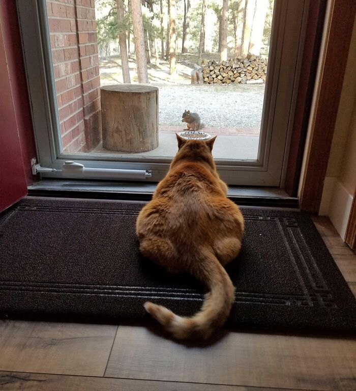 Please Allow Me To Introduce Myself