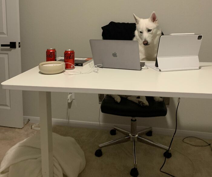 Just Back From A Bathroom Break And I See This