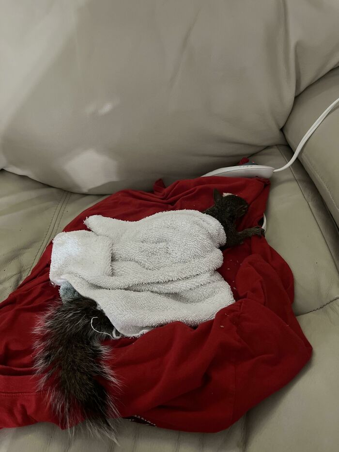 Hurricane-Ian-Florida-Pics