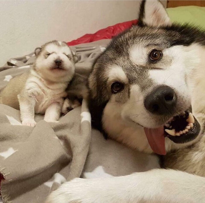 "Being A Father For The First Time" Be Like