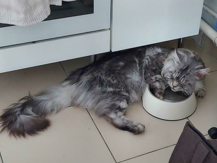 When You Love So Much Water That You Take A Nap In It