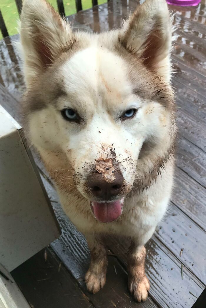 She’s Been Doing Some Landscaping
