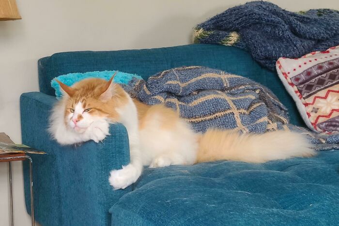 He Has Such A Human Expression Sometimes