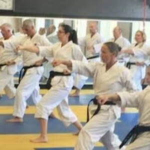 hannahshachar avatar