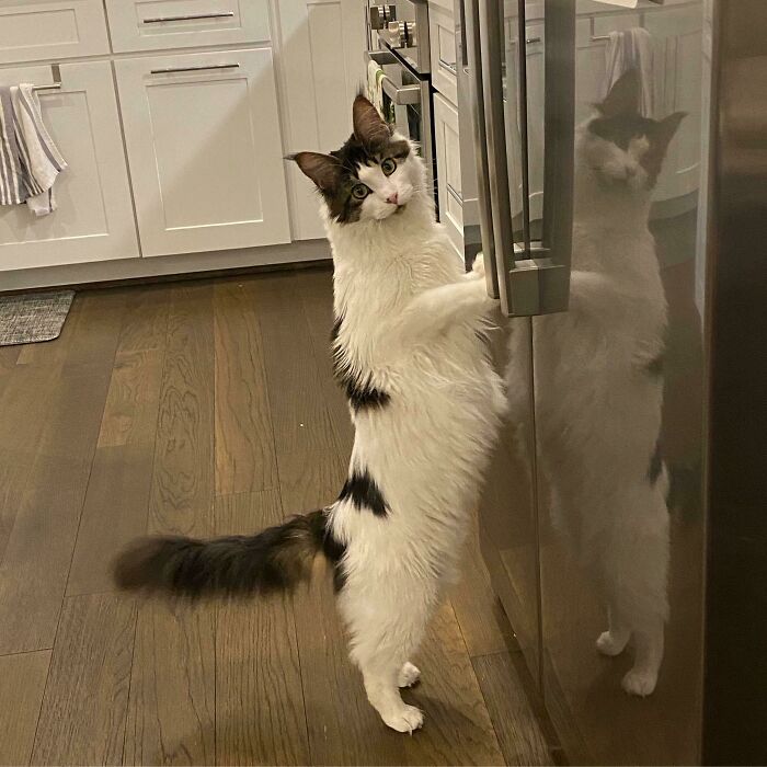 “Y’all Want A Beer Or Anything?”