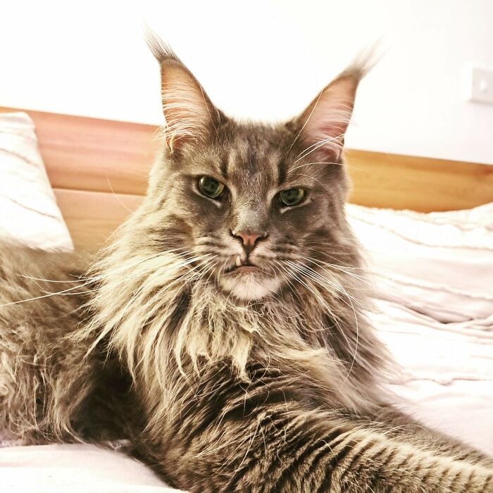 Beautiful Boy Even With The Tooth That Pokes Out