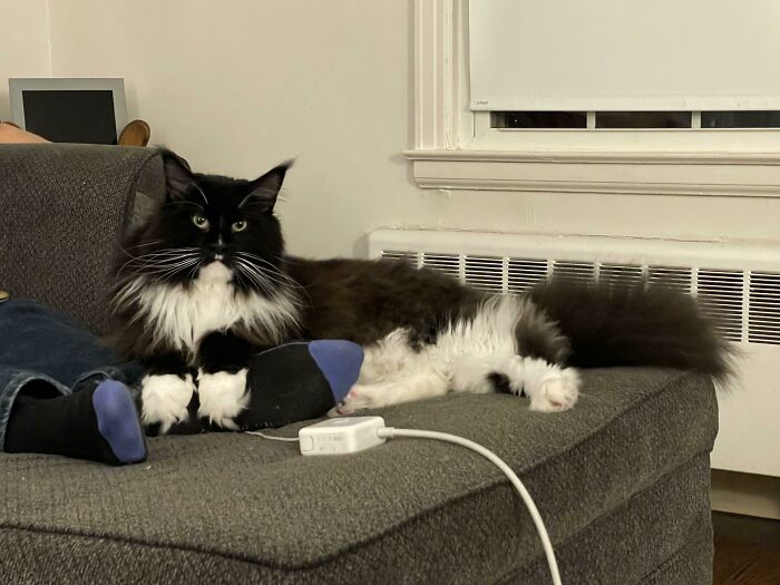 She Is Obsessed With My Husband’s Feet