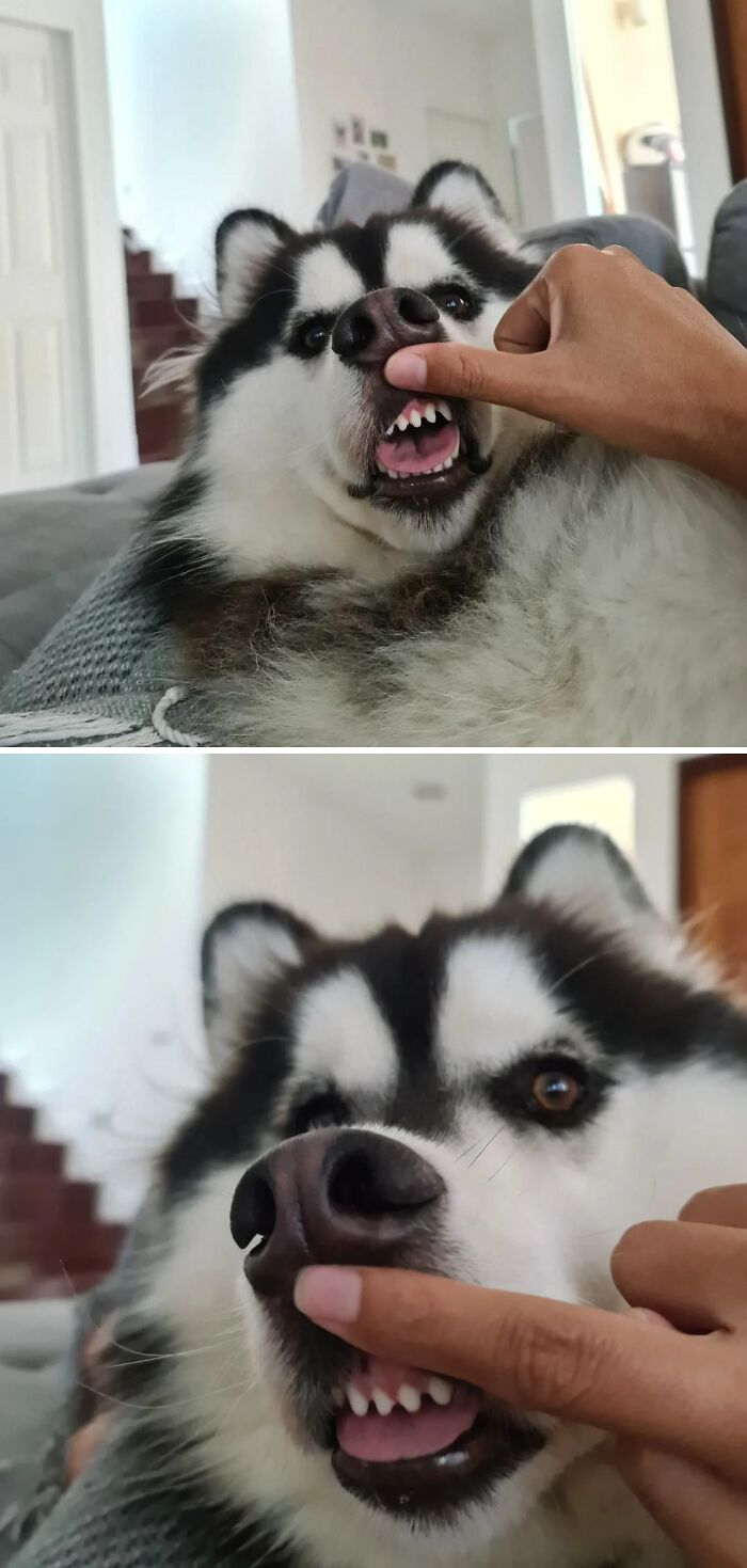 Let Me Check My Teeth. Are They Beautiful?