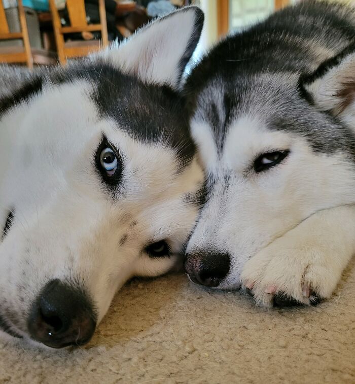 You Can Put The Camera Away Now