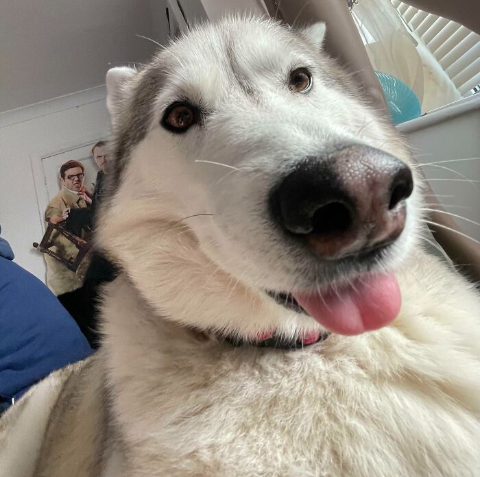 My Little Girl Is The Absolute Cutest, Look At Her