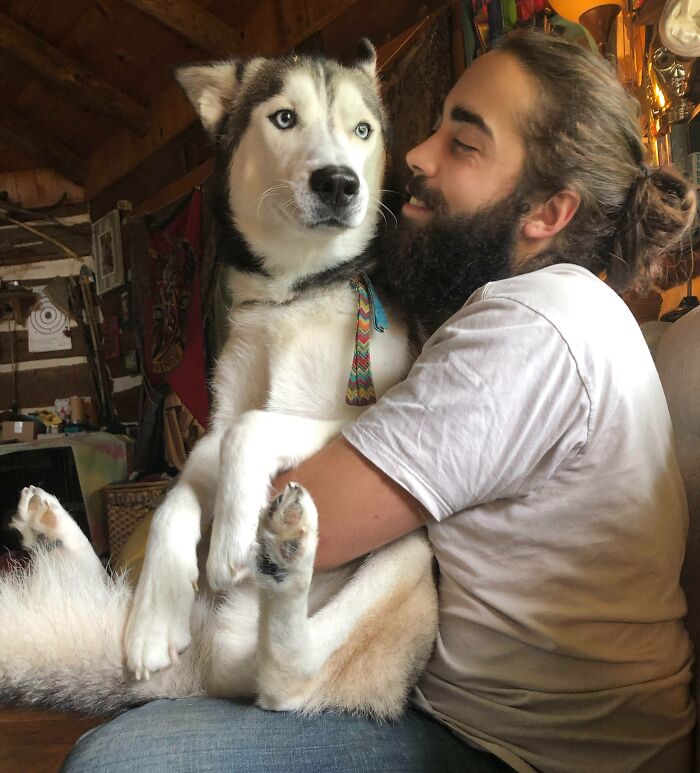 I A Lap Dog. I Sitz On You