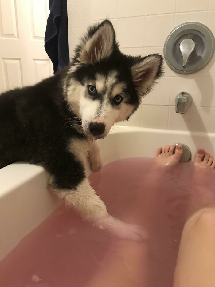 Bath Time?