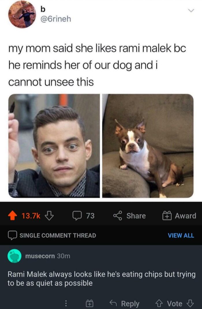 Weird Way To Describe It But I Get The Idea