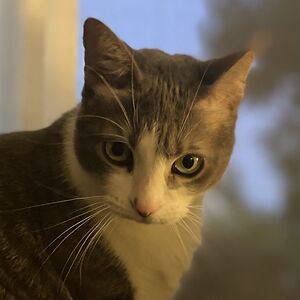 gretchenskalyo avatar