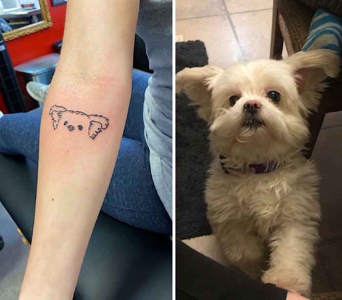 Pet tattoo on forearm with adorable dog inspiration.