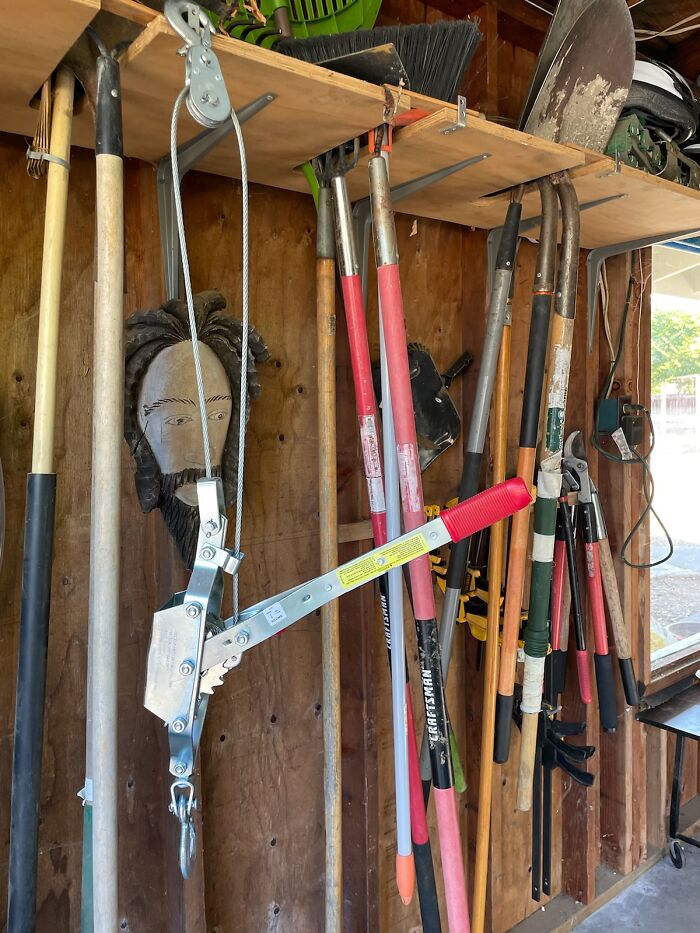 My Sister's Pride In Her Organization Displayed Something Way More Phalich