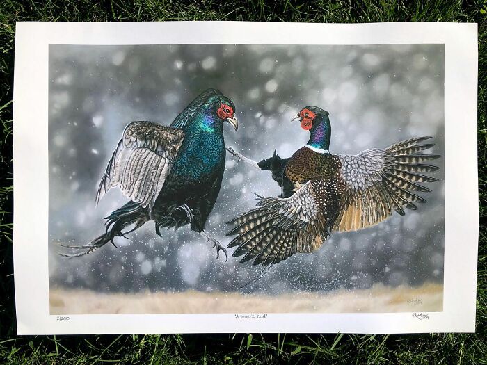 I Create Hyperrealistic Pencil Drawings Of Animals