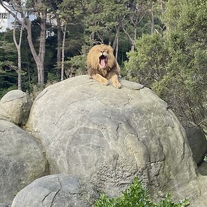 ruth_toyoshima avatar