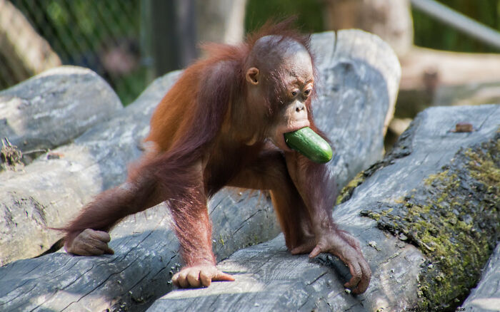 27 Times Men Embarrassed Themselves By Saying Something Cringey, As Shared By Women In This Online Community