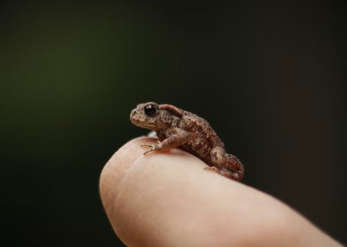 30 Common Myths That People Have To Finally Stop Believing