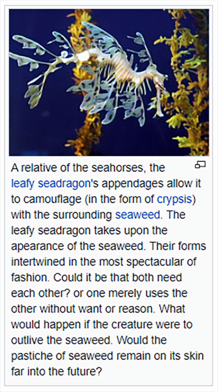 Wikipedia-Out-Of-Context-But-Its-Made-Up-Twitter