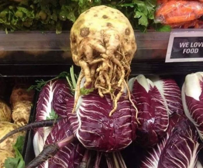 Things-Only-Get-Weirder