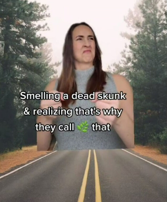 Thenewcomercollective