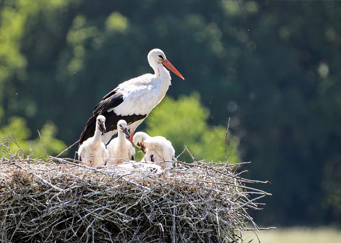 30 Common Myths That People Have To Finally Stop Believing