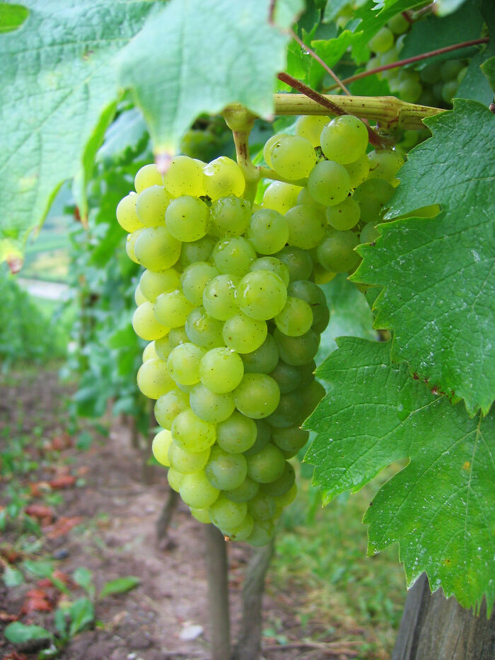 30 “Why Are You Booing At Me? I’m Right!” Moments That People In This Online Group Experienced