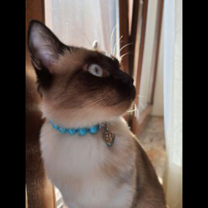 If Your Feeling Down, Here’s 14 Pictures Of My Cat. If Your Feeling Down, Here’s 14 Pictures Of My Cat.