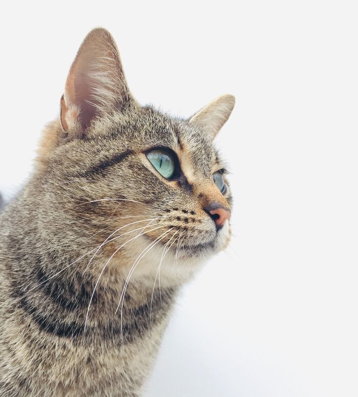 Olga Had Such Stunning Seaglass Eyes